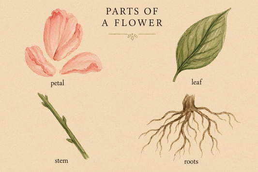 Tending The Garden |Event|